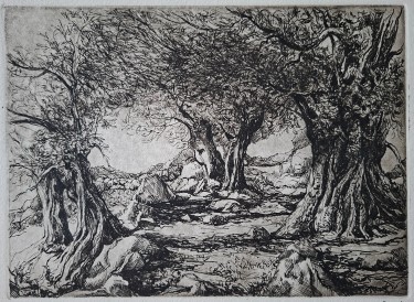 Masline, autor Zeljko Ivanovic