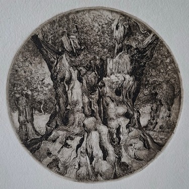 Maslina, autor Zeljko Ivanovic