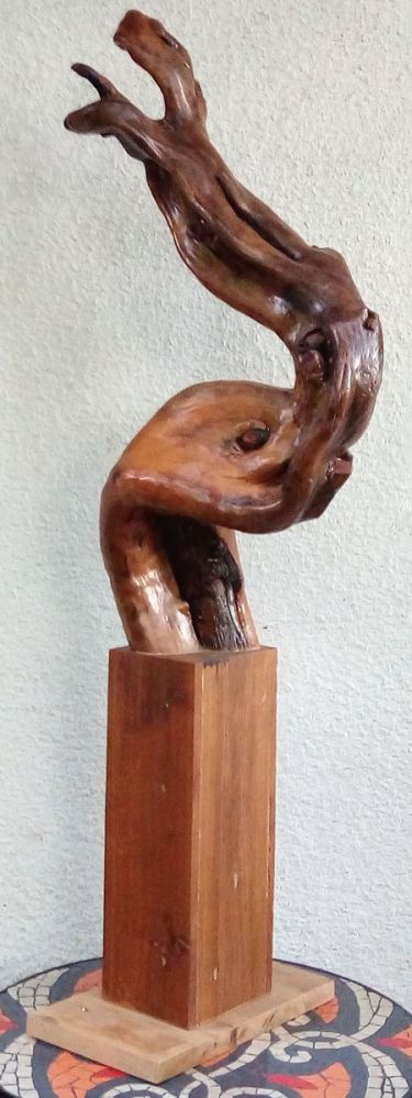 Kobra, , autor Panić Branislav