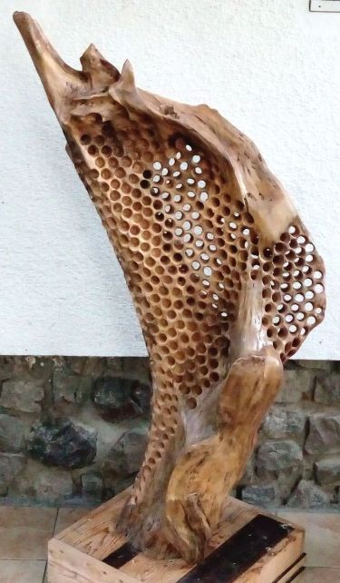 Krilo, , autor Panić Branislav
