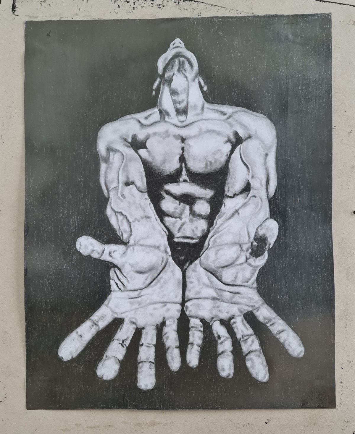 Šake