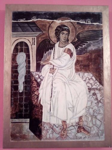 Beli Andjeo, autor Savić Svetlana