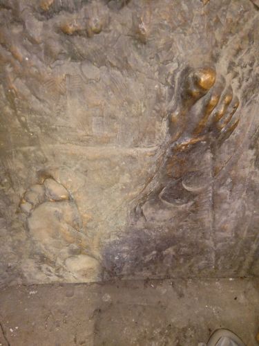 Trag rudara