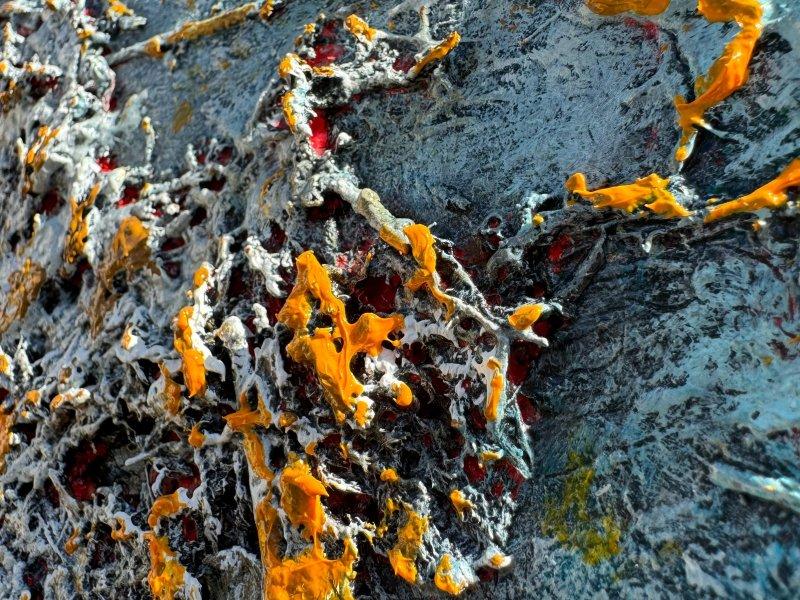 Colonia Maritima, Slika Tijana Stojičić Tikka