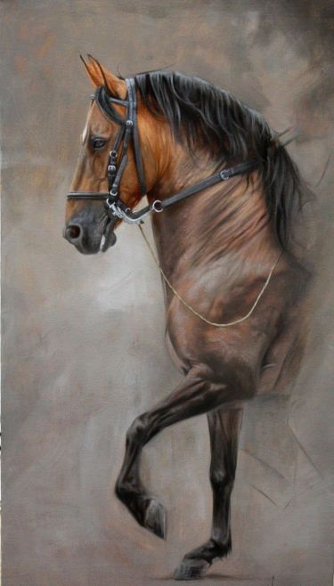 Konj | Ulje na platnu | 70x50 cm