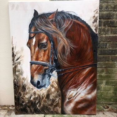 Konj | Ulje na platnu | 70x50 cm, autor Klipa Goran
