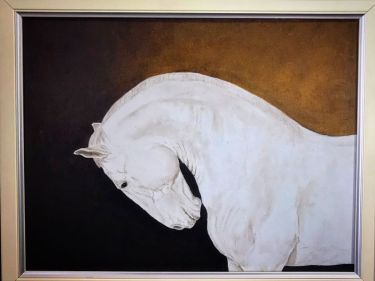 Beli konj autor Kushinski Marin