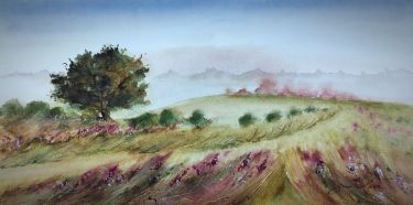 Windy Field