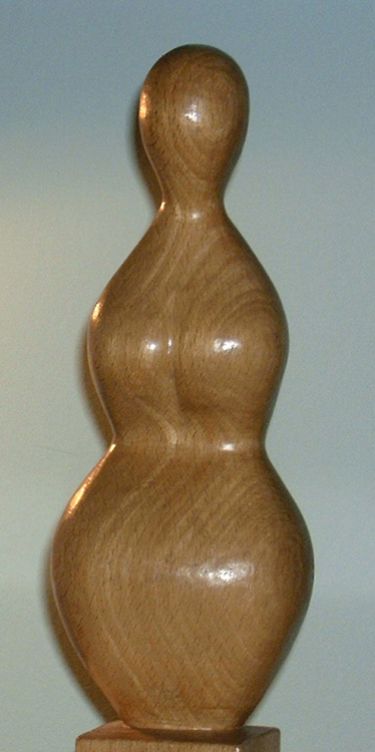 Figura I, autor Simovic Jovan
