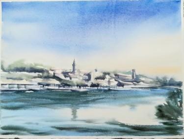 Zemun2, autor Danica Živković