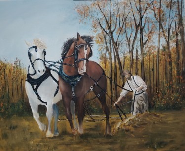 Prva brazda, autor Maric Dejan
