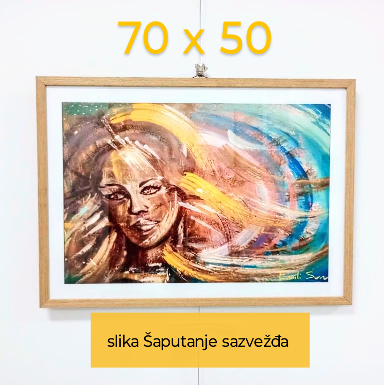 SAPUTANJE SAZVEZDA, Slika Emili Sun