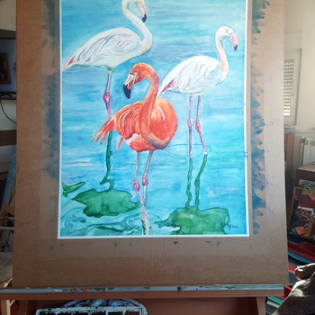 FLAMINGOSI