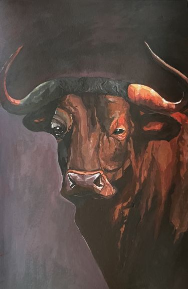 Portret bivola, autor Marija Obradovic