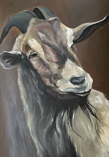 Portret jarca, autor Marija Obradovic