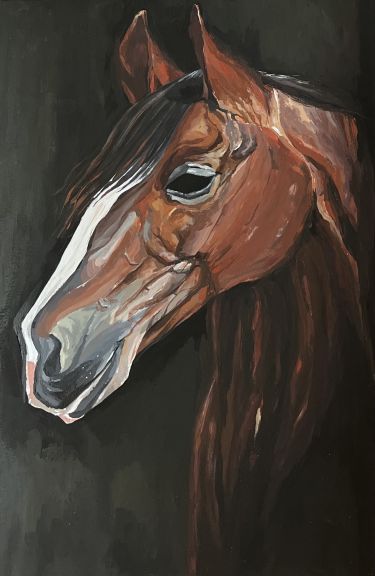 Portret konja, autor Marija Obradovic