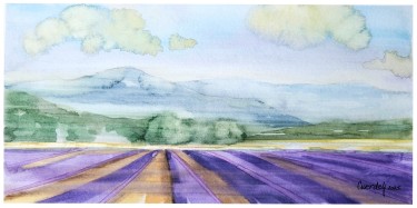POLJE LAVANDE, autor Danijela Cverdelj