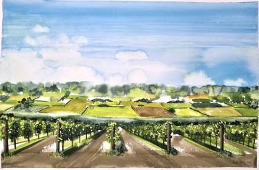 VINOGRAD, autor Danijela Cverdelj