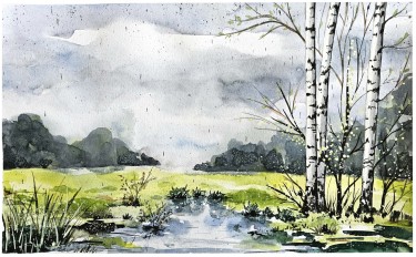BREZE NA KIŠI, autor Danijela Cverdelj