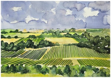VINOGRAD, autor Danijela Cverdelj