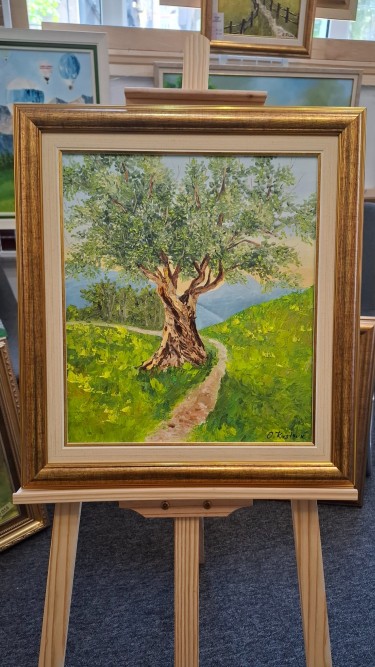 Drvo masline, autor Olivera Krstovic