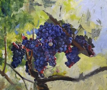 Mir Vinograda, autor Aljona Savčenko - Lukian