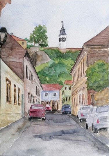 Petrovaradin, autor Zorica Bugarski