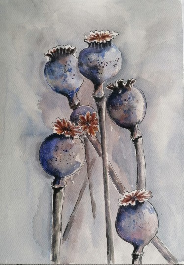 Makovi, autor Zorica Bugarski