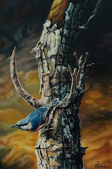 Pticica, autor Stevan Sucevic