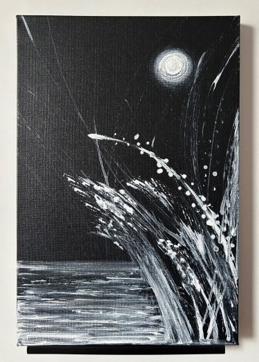 Igra na Mesecini, autor Magdalena Nikolic