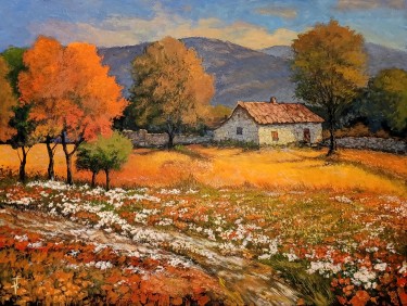 Pod bakarnim suncem Hercegovine, autor Rade Grahovac