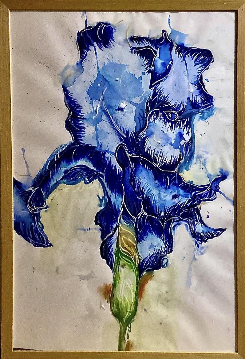 blue iris bloom