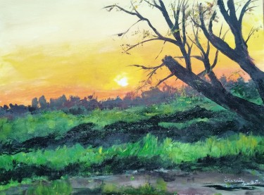 Slomljeno, autor Čarni Đerić