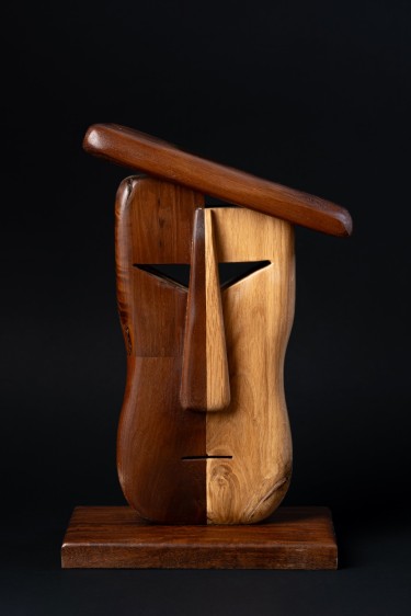 pepe, autor slobodan gavrilovic