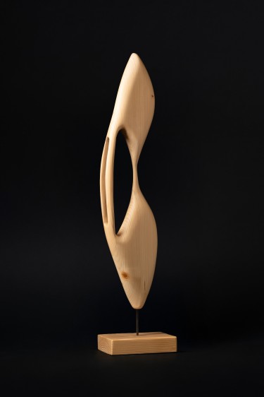 albatros, autor slobodan gavrilovic