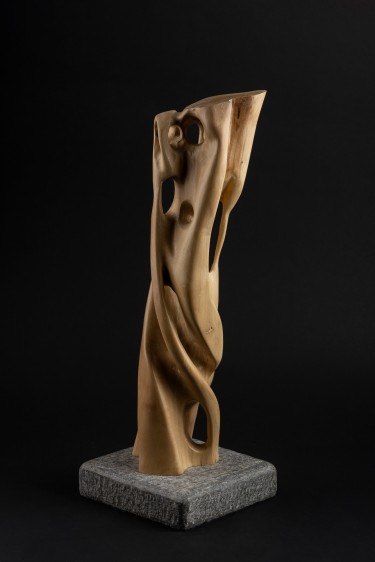 Eleni, autor slobodan gavrilovic