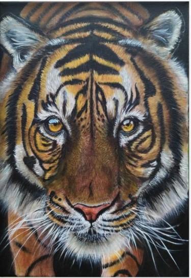 Tigar, autor Jasmina Mincic