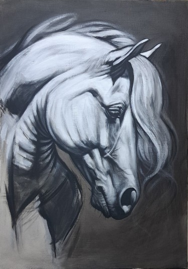 Tišina, autor Kristina Đurišić Markuš