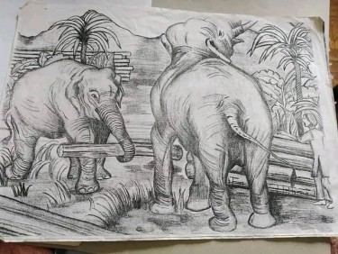 Africa, autor Sanja Vasev